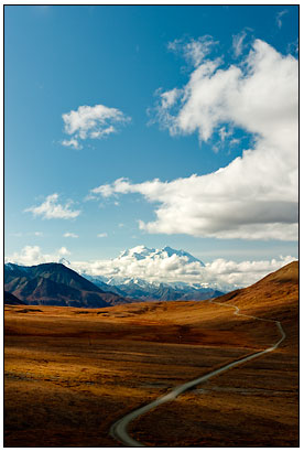 Road_to_Denali_1.jpg